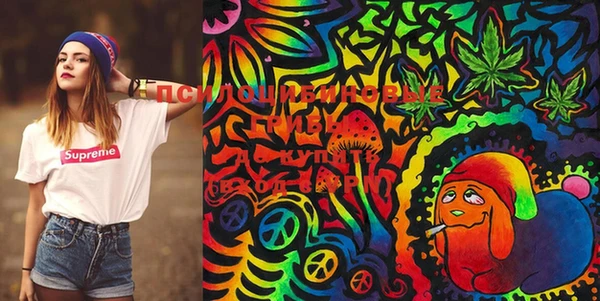 2c-b Корсаков