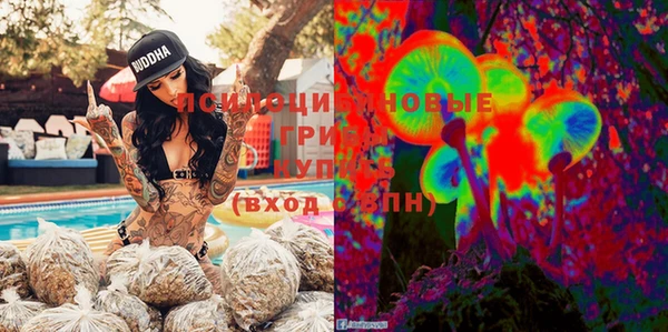 2c-b Корсаков