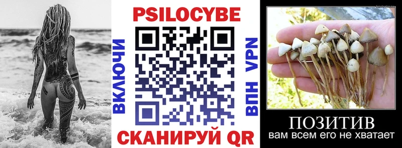 Галлюциногенные грибы GOLDEN TEACHER  Купить где  Бийск 